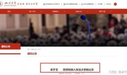 东北高校爆料视频播放,揭秘校园生活幕后真相