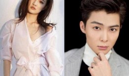 徐璐初吻爆料视频大全下载,揭秘明星情感生活瞬间