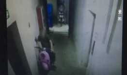 网友爆料泼粪视频大全,惊悚泼粪视频大全，揭秘网络暴力背后的黑暗面