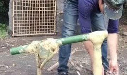 死水爆料视频大全最新下载